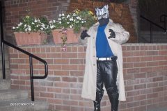 The-Cat-of-Portland-2