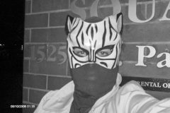 The-Cat-of-Portland-3